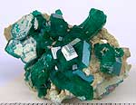 Dioptase Kaokofeld Namibia 