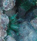 Malachite Needles Kaokoveld Namibia 